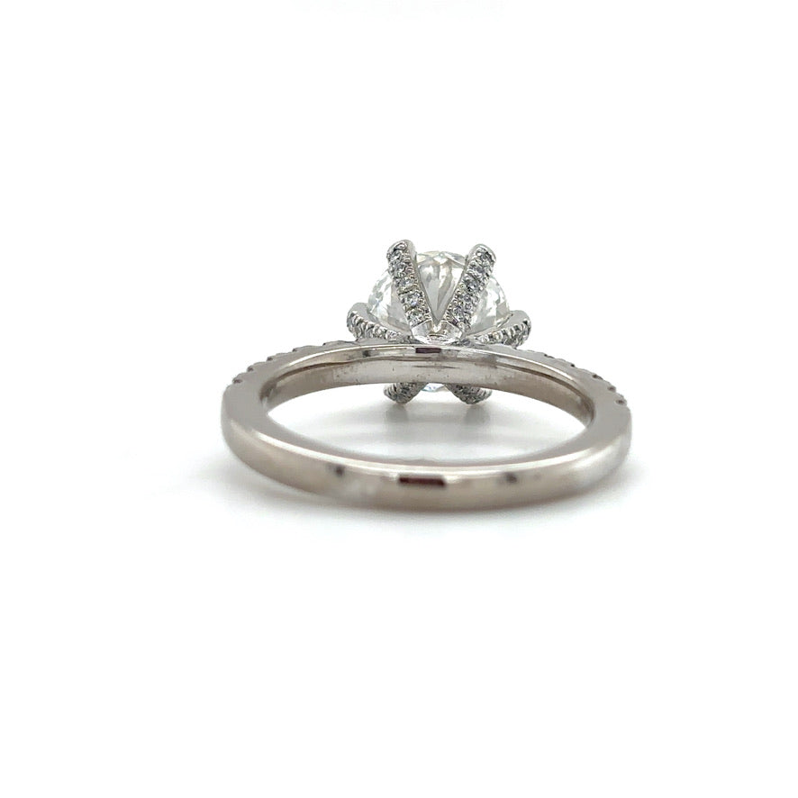 Maisy– " 3ct " Round Solitaire in 18k Gold with 6 Claw set and Pavé Band (Ready) - Prime & Pure